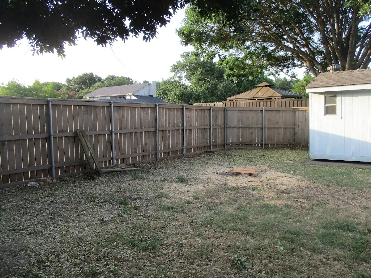 Cleared yard after professional tree removal in Pioneer